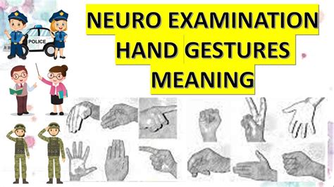 pnp neuro exam who am i